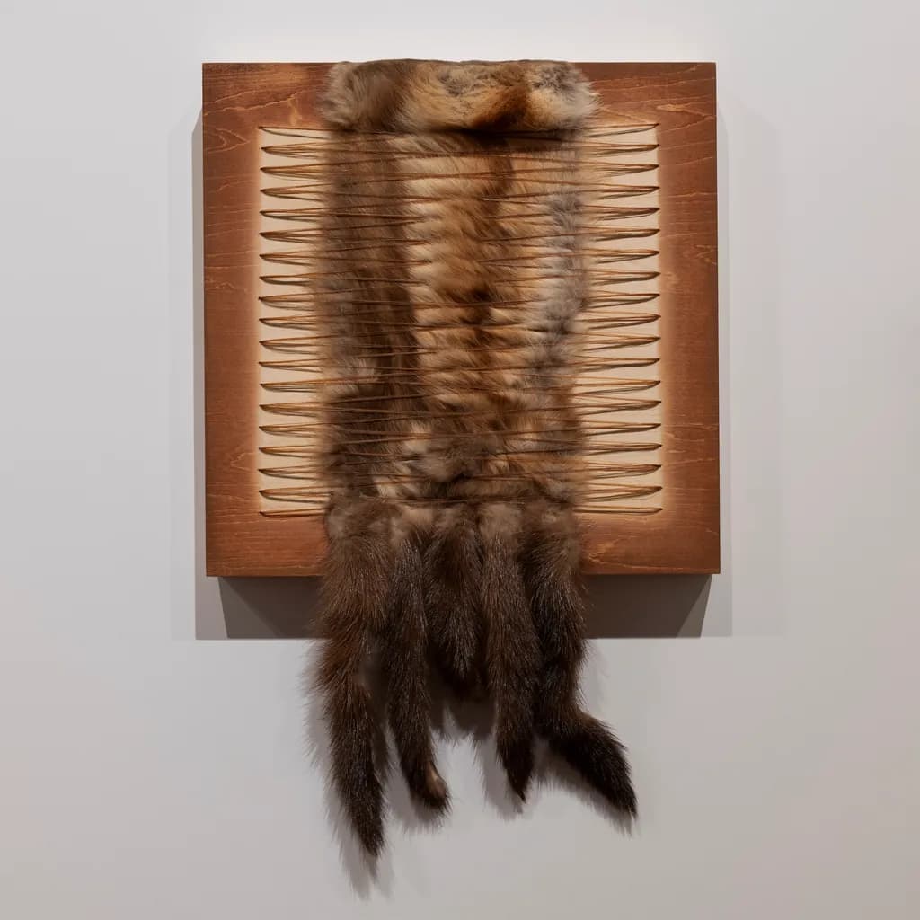 Mink Tails Front Shadow