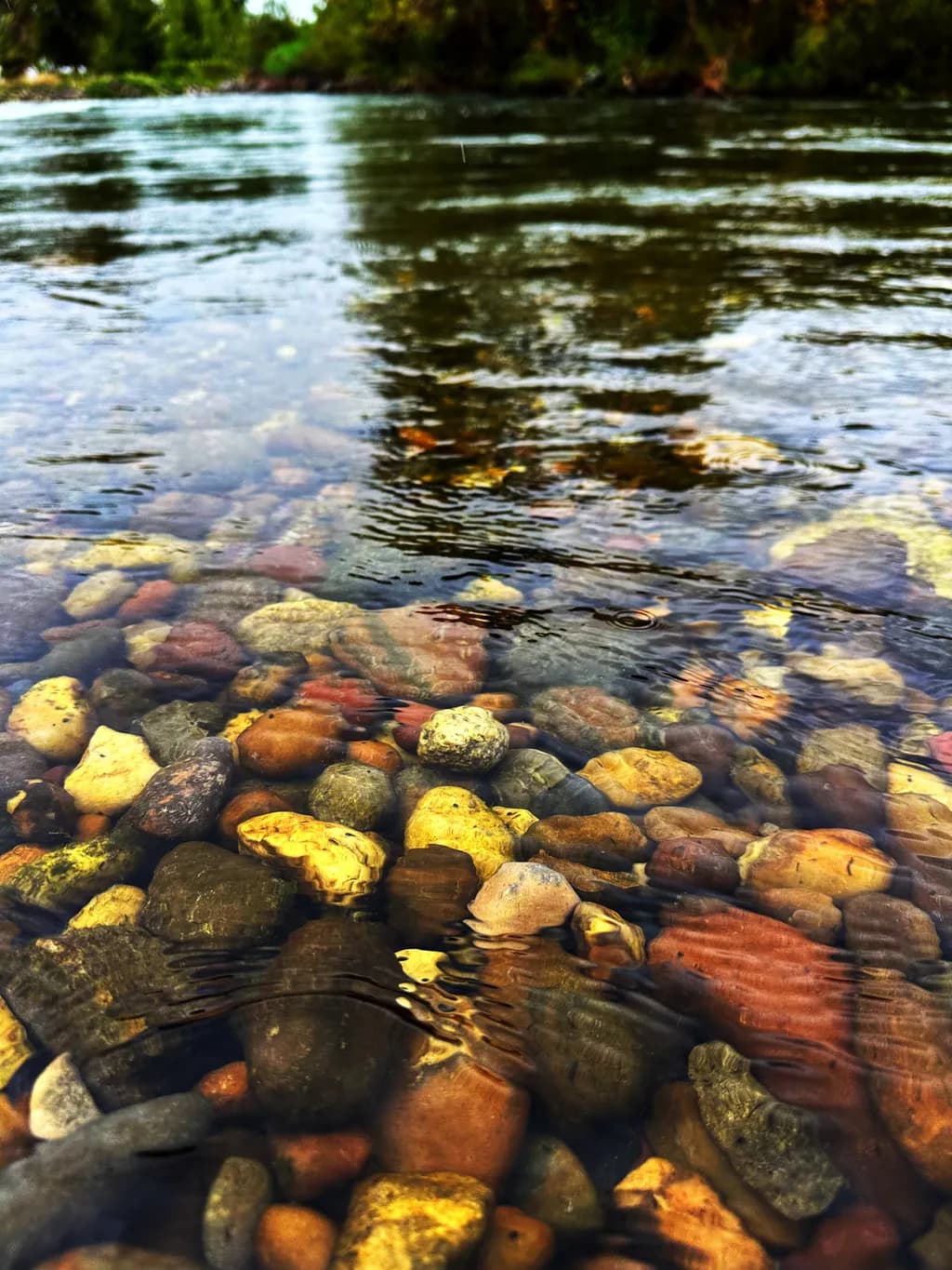 Tranquil Reflections: A Serene Dance of Water and Stones