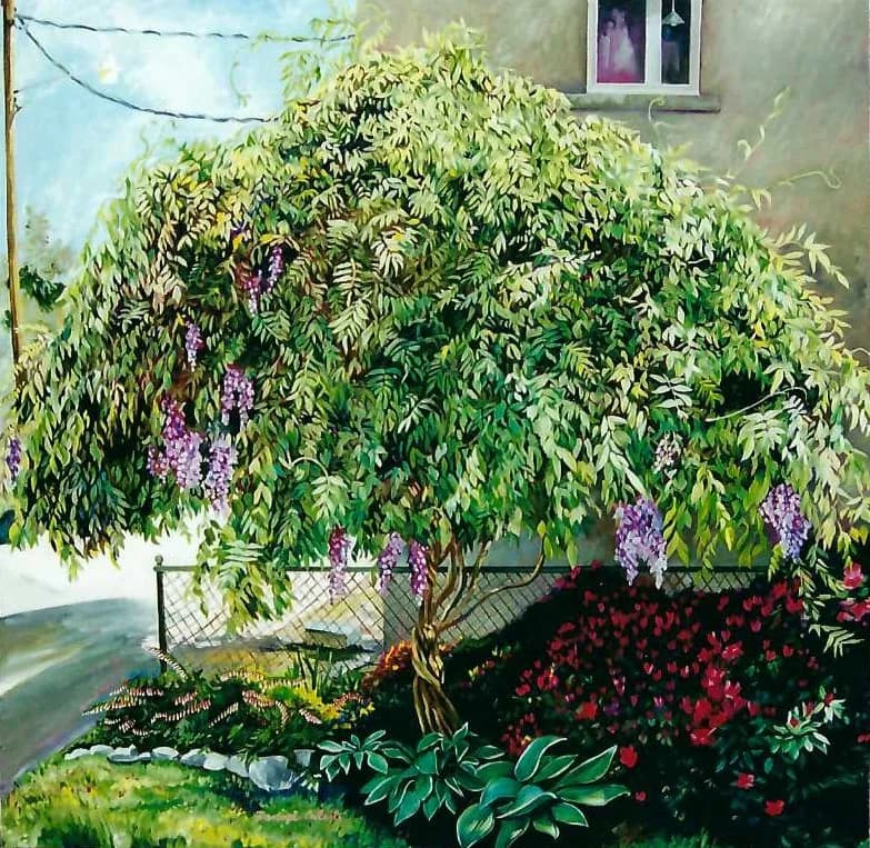 Watching Over the Wisteria