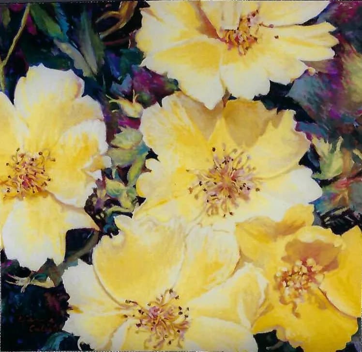 Bright Spring Blooms