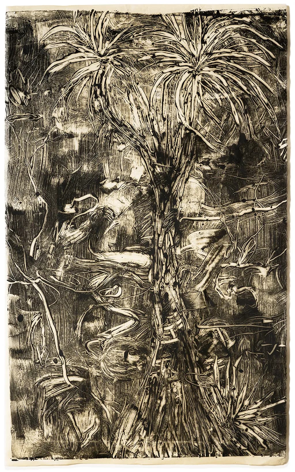 Koan 14