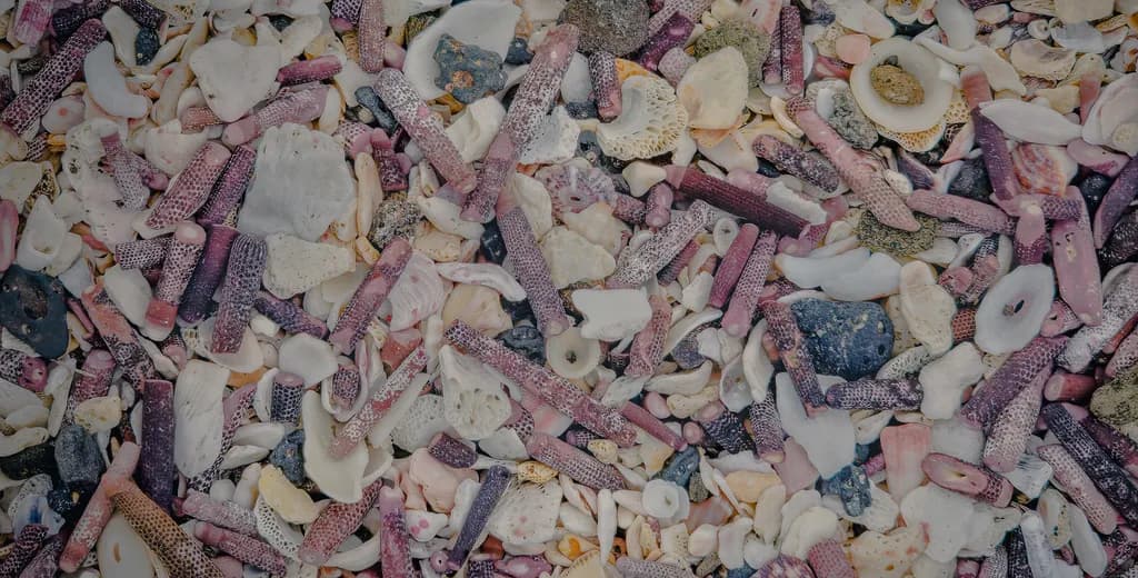 Coral Fragments Mix