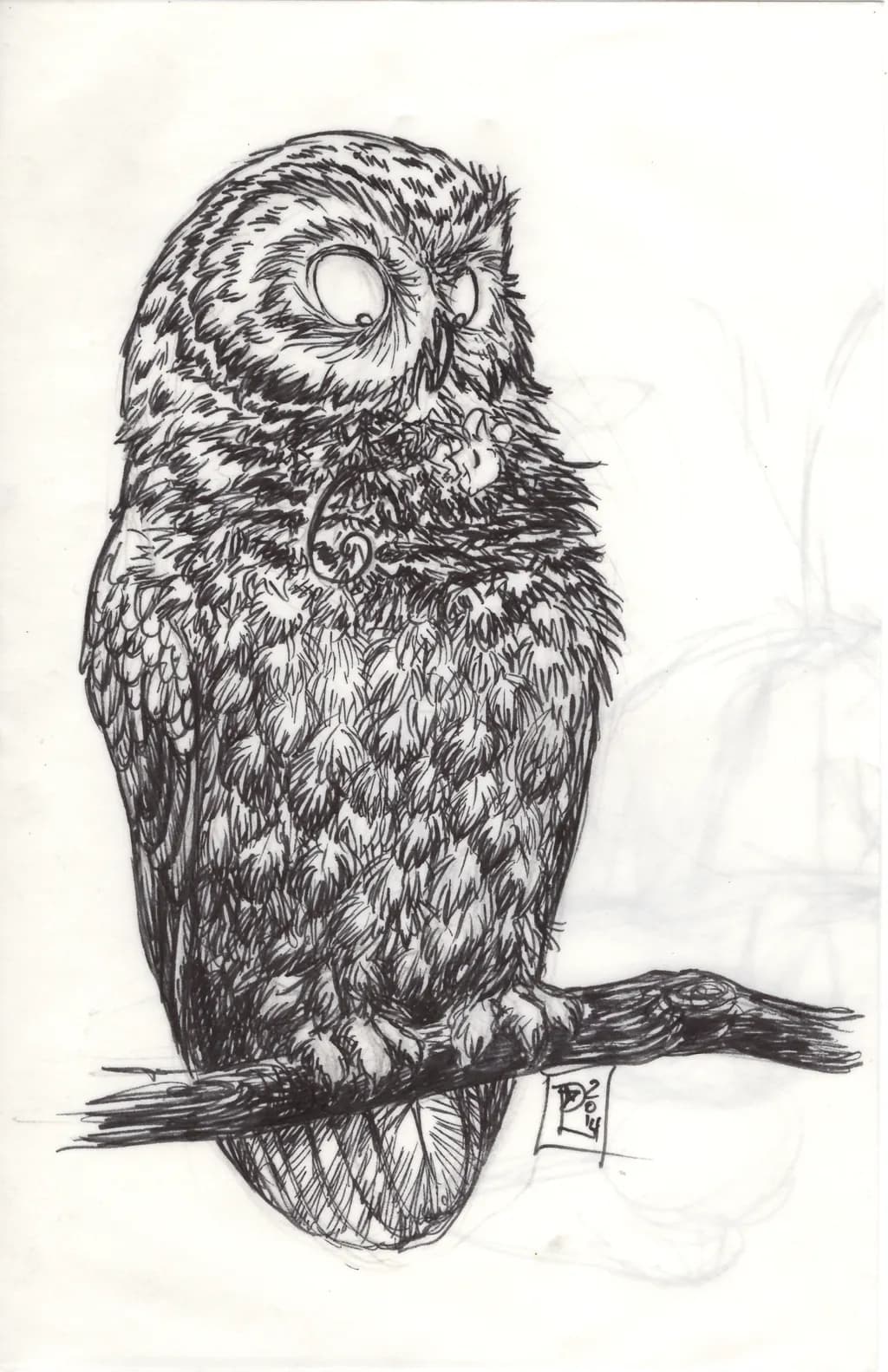 Whimsical Wisdom: The Enigmatic Owl in Ink