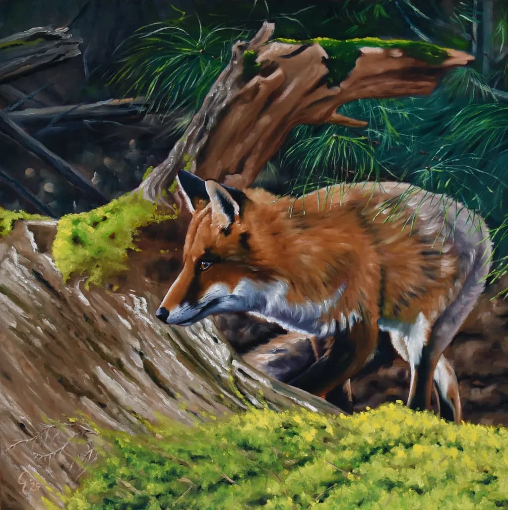 Red Fox
