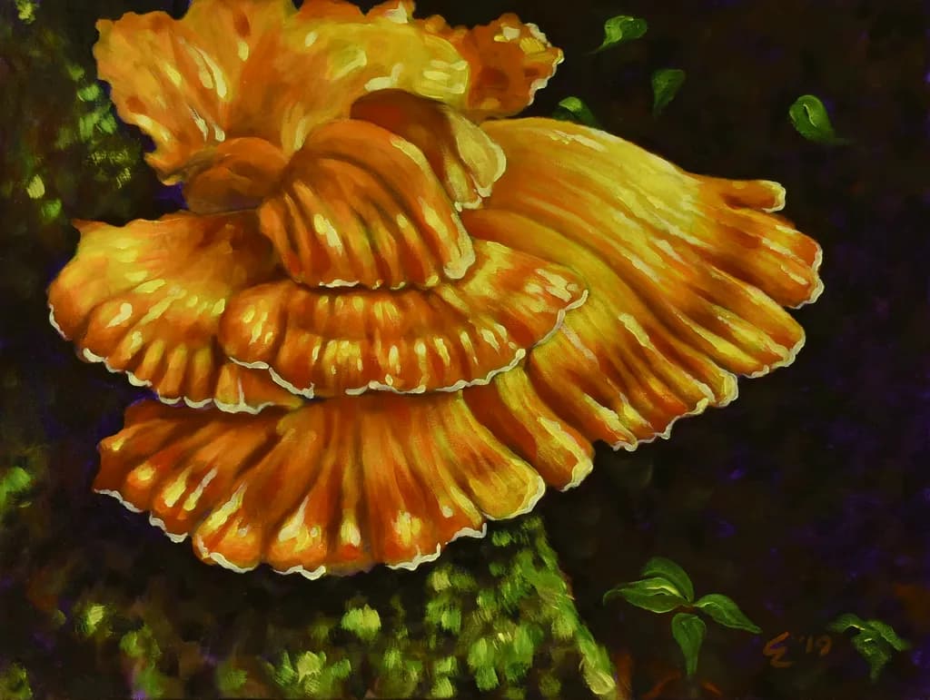 Chicken of the Woods