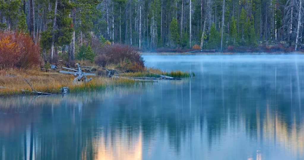 Whispers of Dawn: A Serene Reflection on Misty Waters
