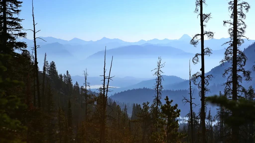 Whispers of the Misty Mountains: A Serene Landscape Journey Through Nature's Embrace