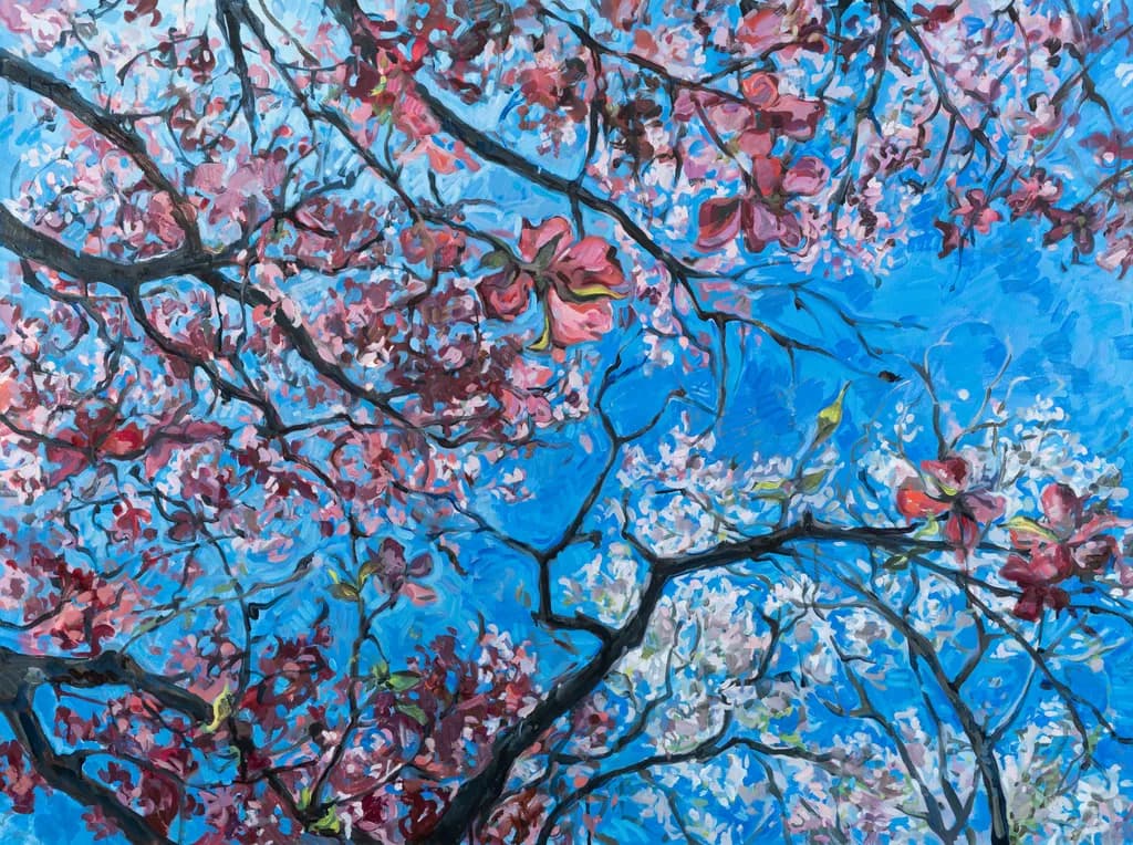 Whispers of Spring: A Journey Through Blossoms and Sky
