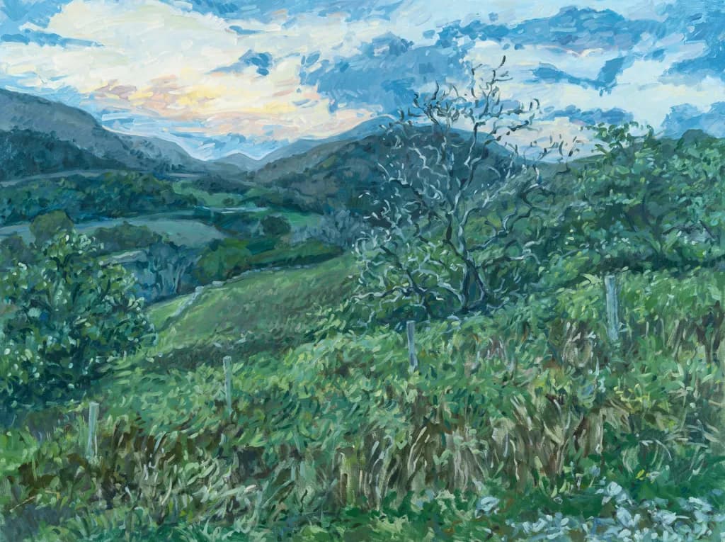 Whispers of Serenity: A Journey Through Green Hills and Open Skies