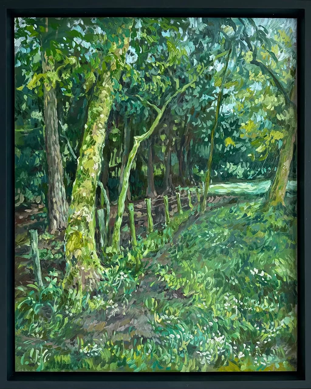 Whispers of the Forest: A Tranquil Journey Through Nature's Embrace