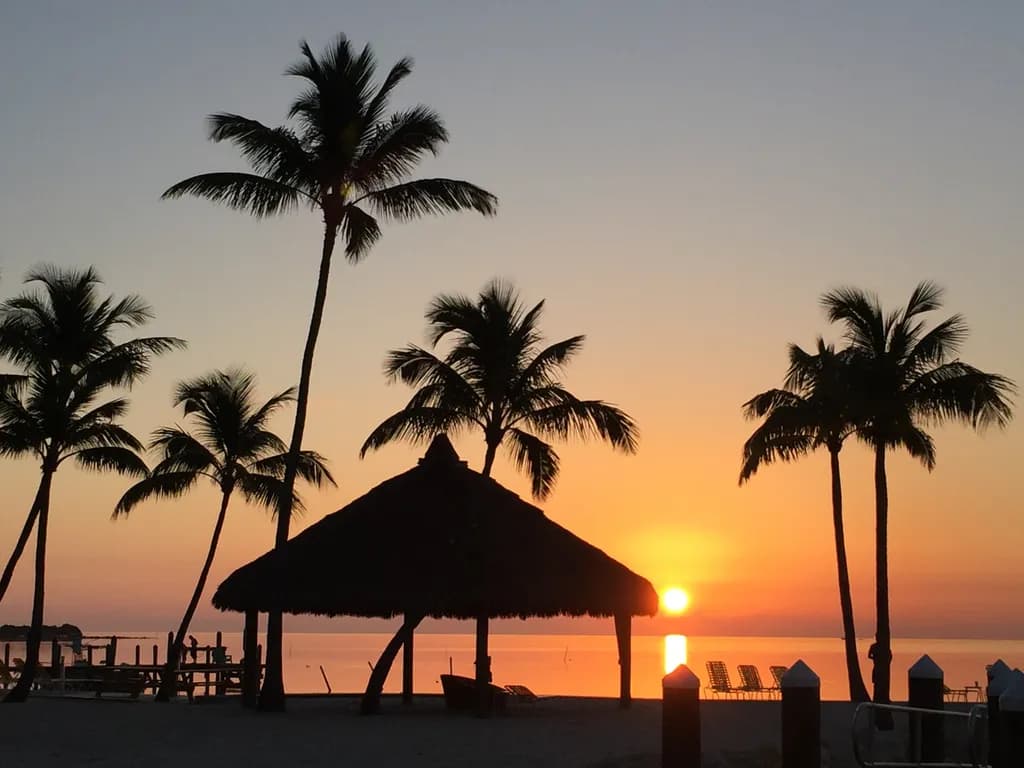 Keys Sunset Palms