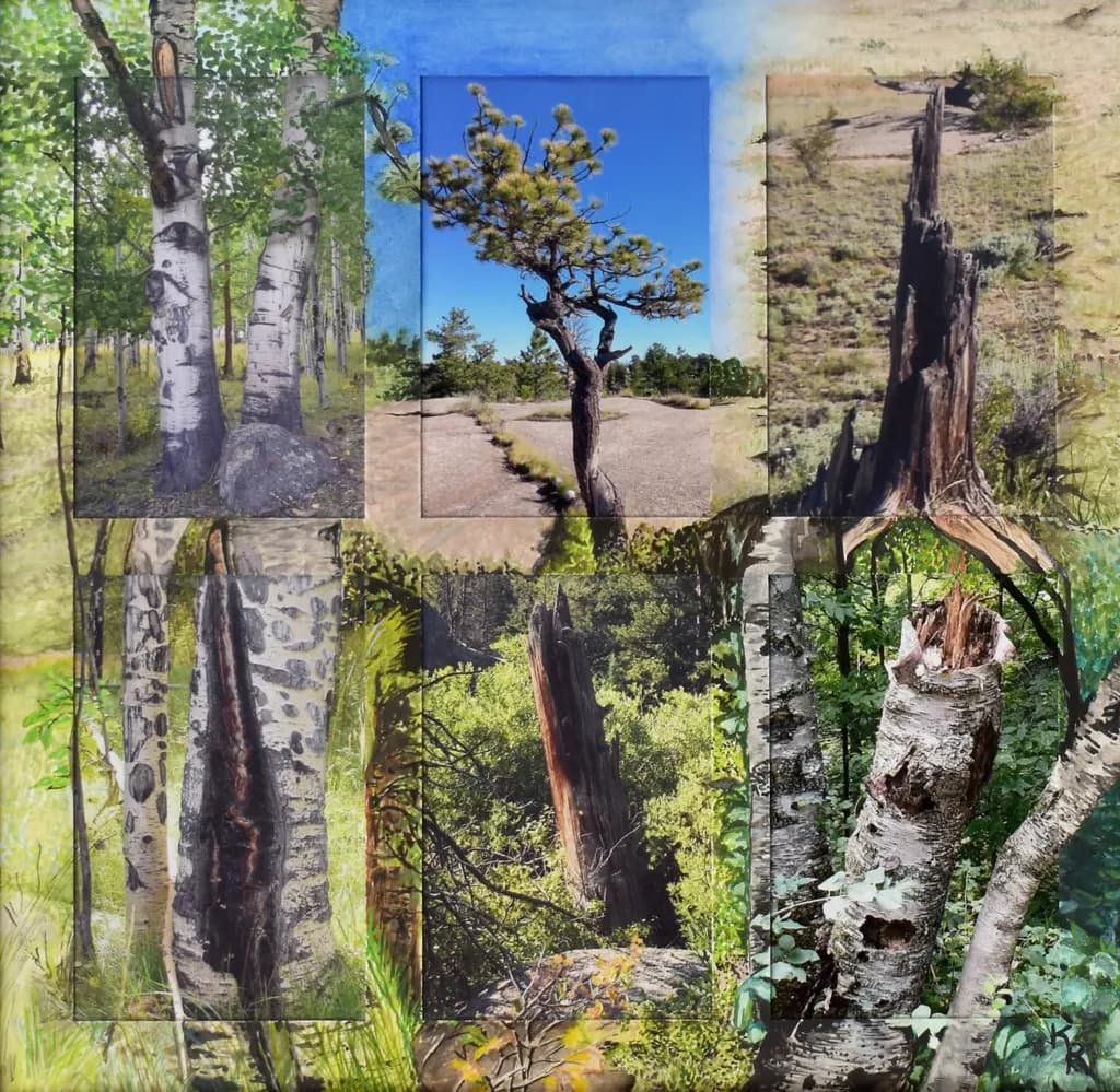 Nature's Whispers: A Journey Through Wyoming and Colorado's Enchanted Trees