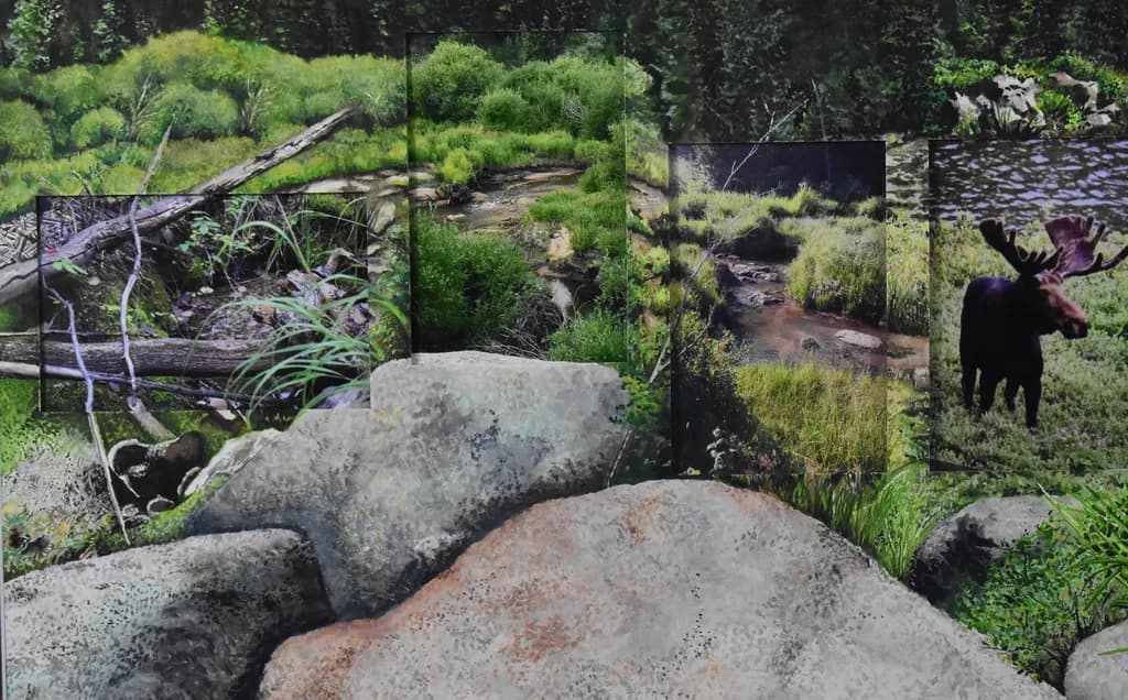 Nature's Harmony: A Serene Encounter with Wildlife by the Water's Edge