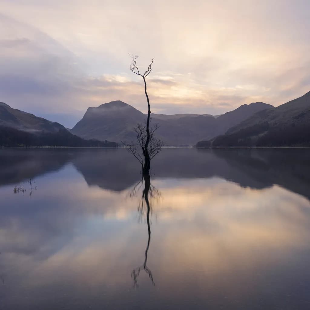 Lonely Reflection