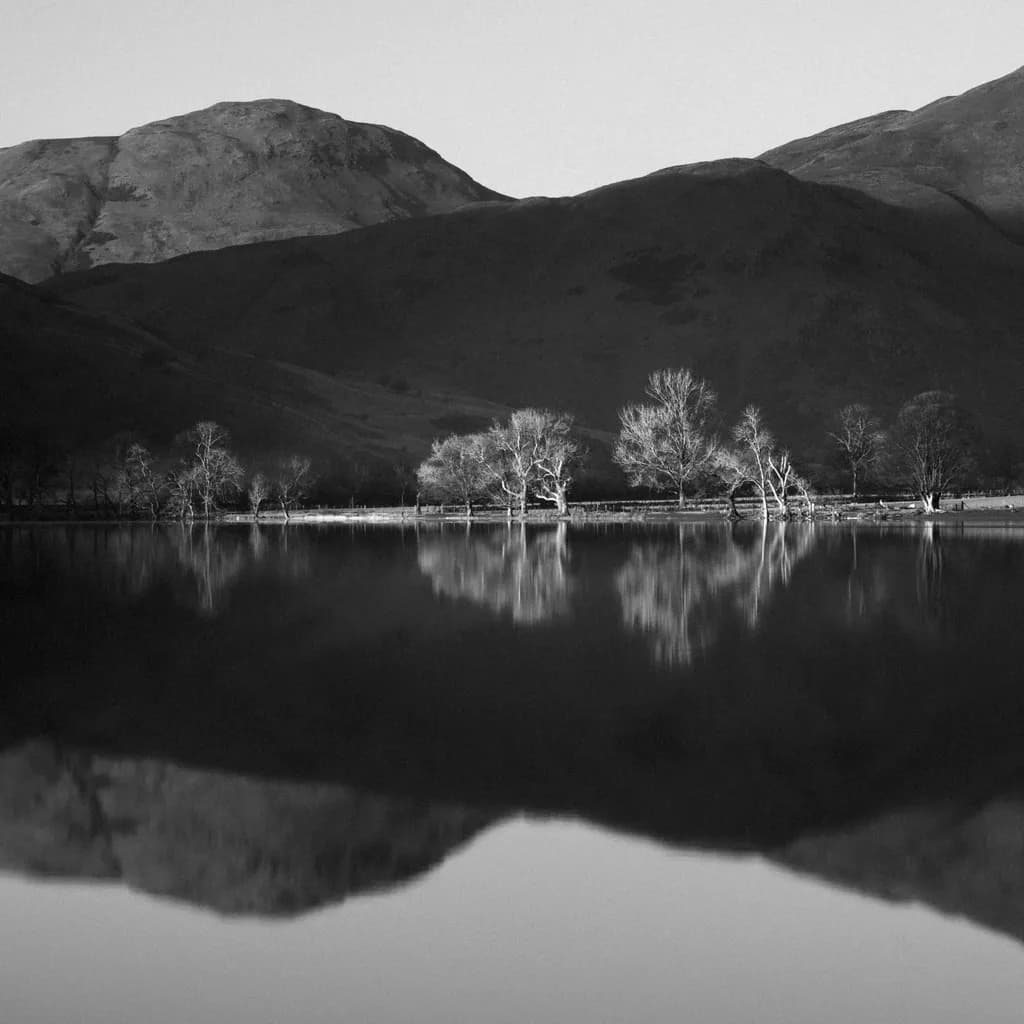 Reflections in Monochrome