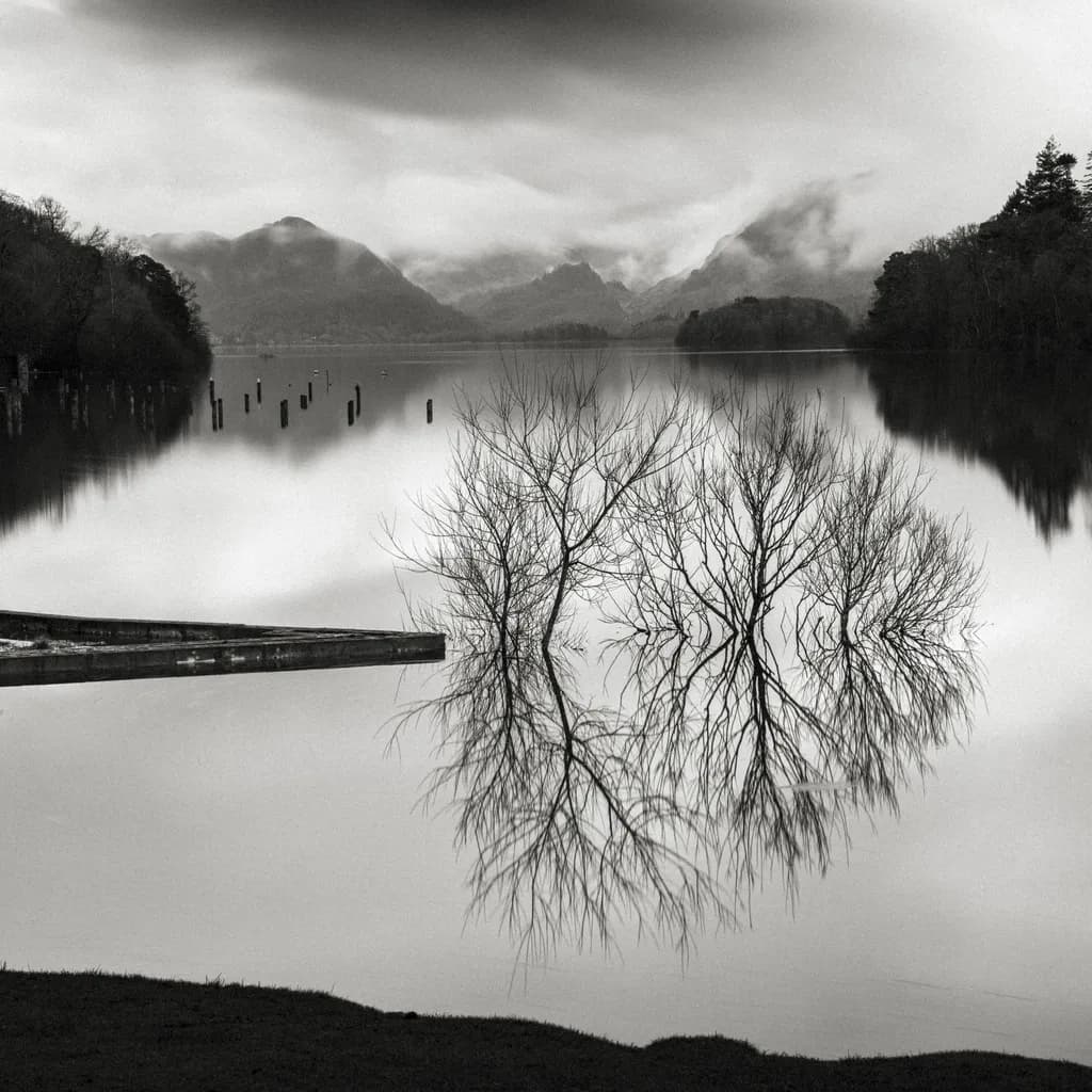 Reflections in Stillness