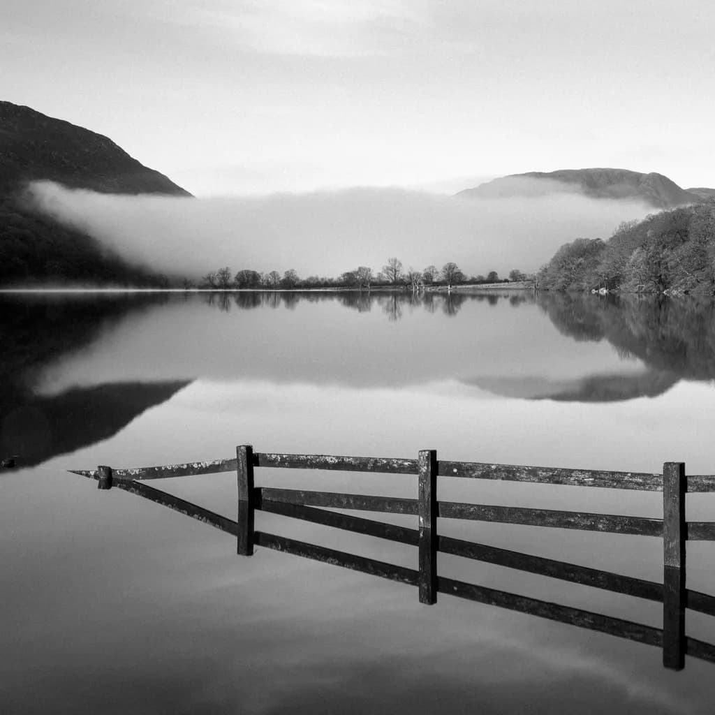 Reflections in Mist