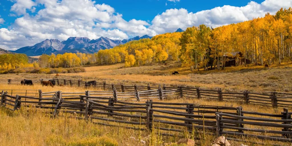 Golden Meadows: A Whimsical Dance of Cattle and Autumn Leaves in the Rockies