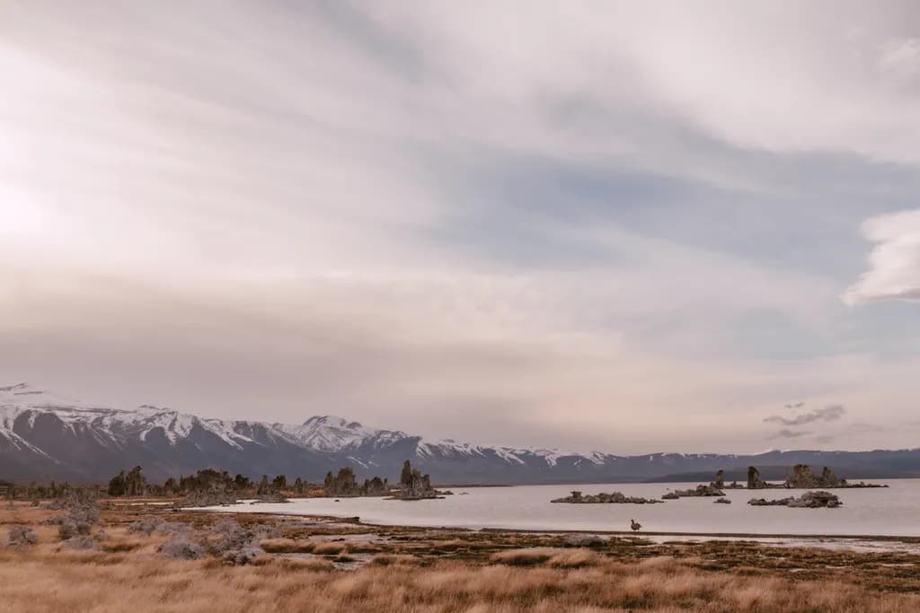 Whispers of the Mountains: A Serene Landscape Journey