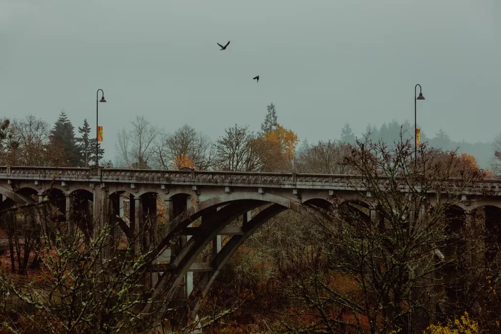 Bridges and Birds: A Journey Through Autumn's Embrace