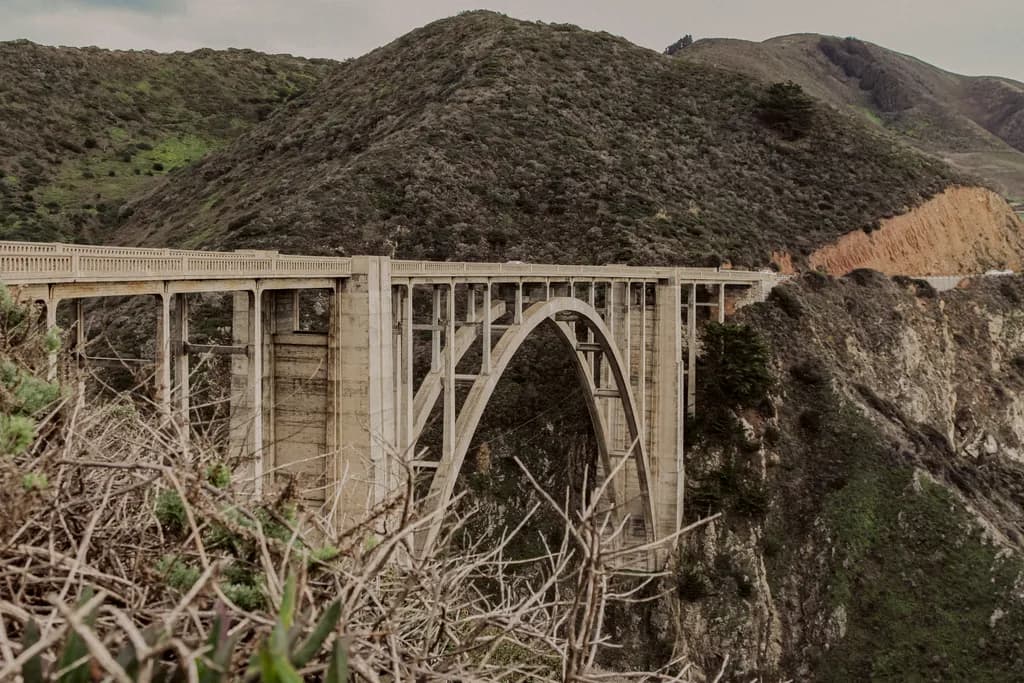 Bridging Nature: A Journey Through the Heart of the Landscape