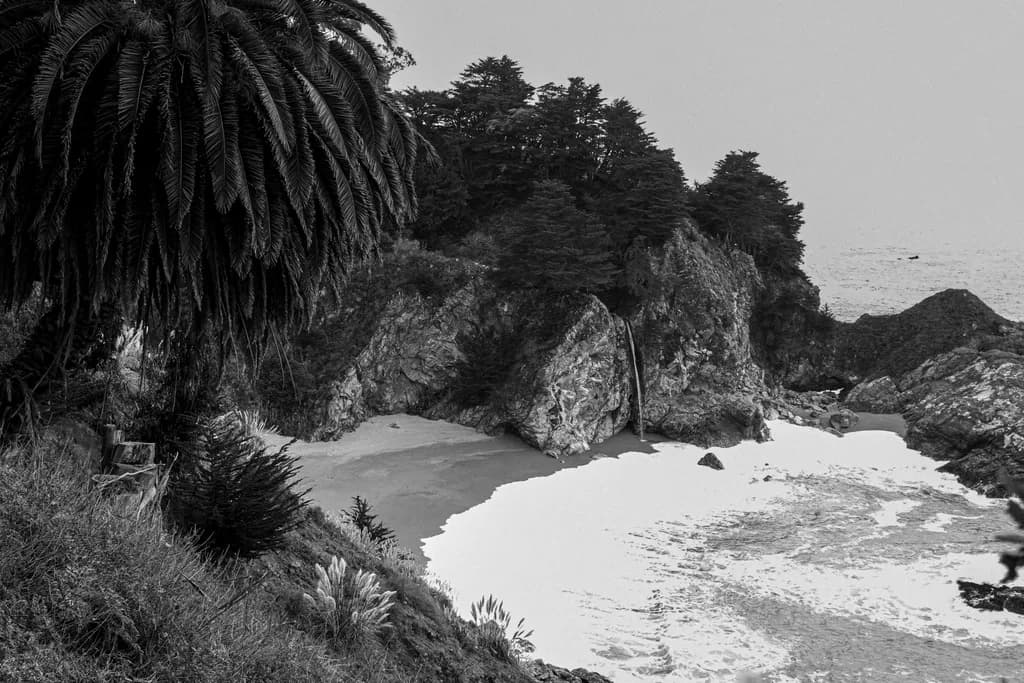 Whispers of the Coastline: A Black and White Journey Through Nature's Embrace