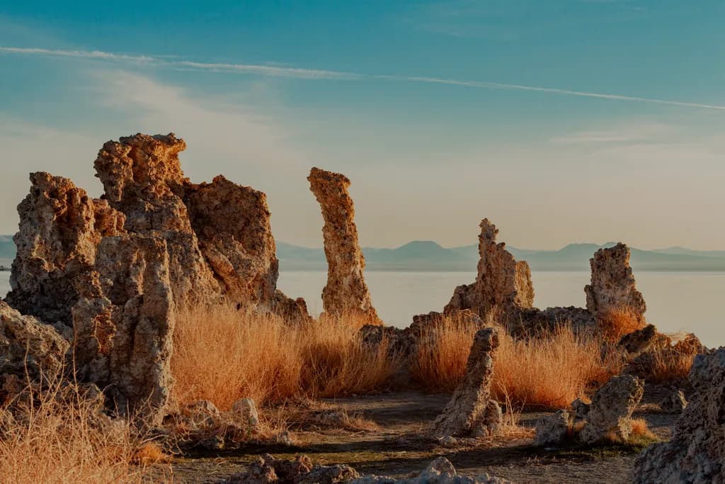 Whispers of Time: Nature's Sculptures at the Water's Edge