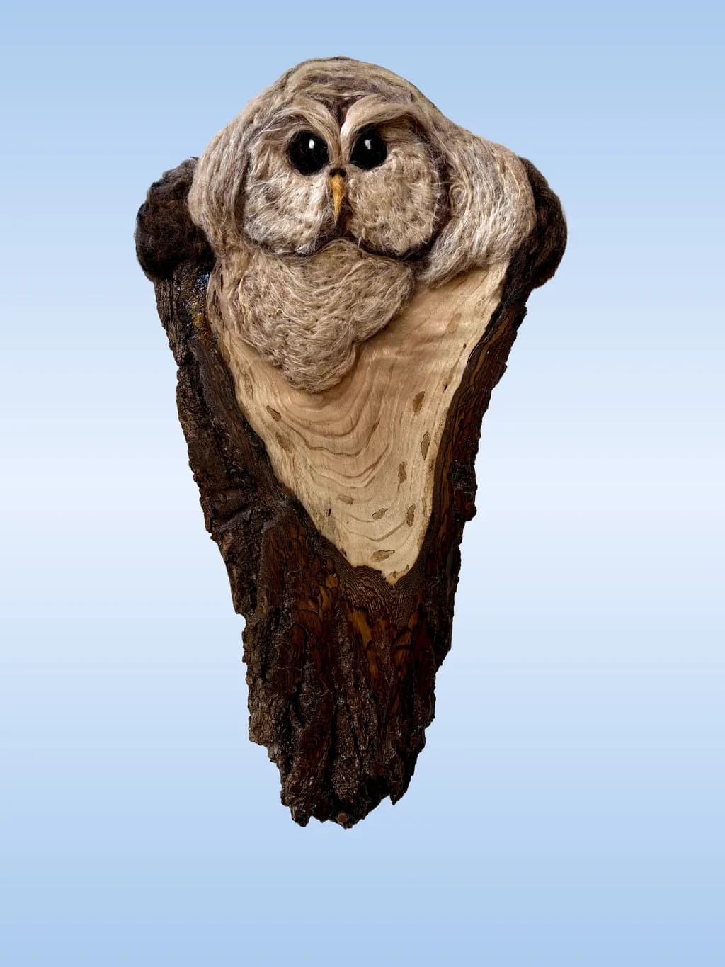 Wise Guy Owl