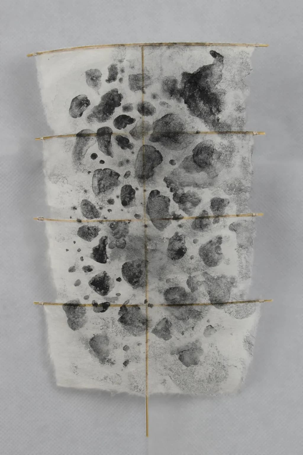 Speckle Kite 3