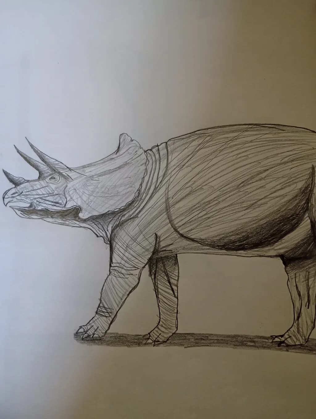 Triceratops 