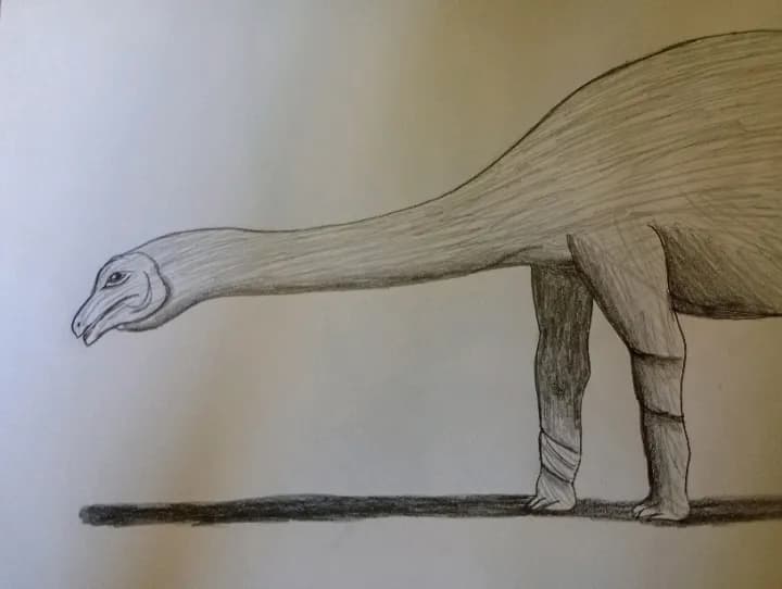 Brontosaurus 