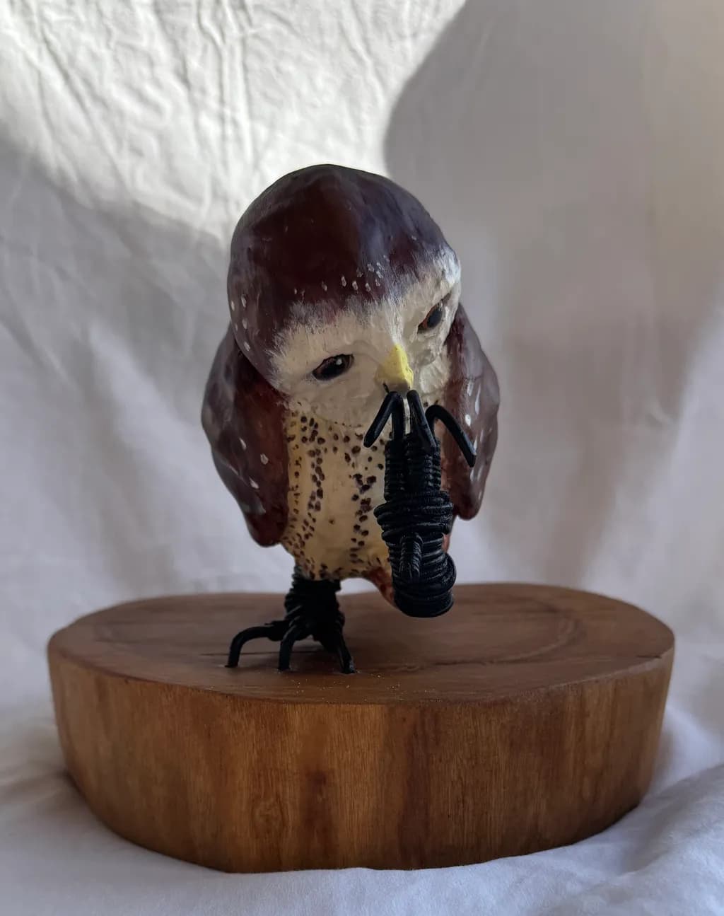 Owl with Insect Catch