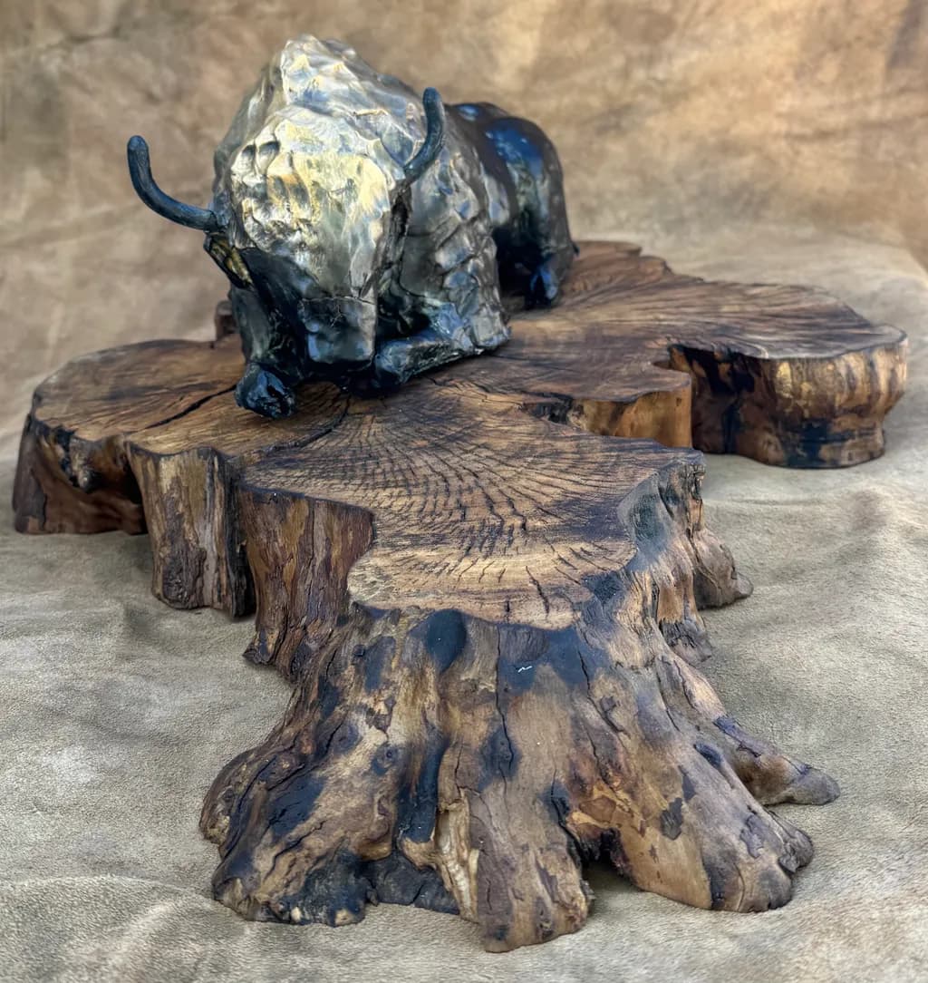 Resting Bison on Burl Wood