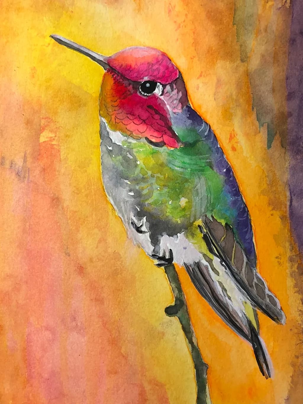 Colorful Hummingbird