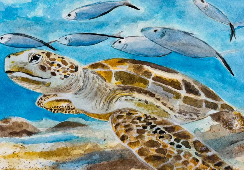 Turtle and Schooling Fish