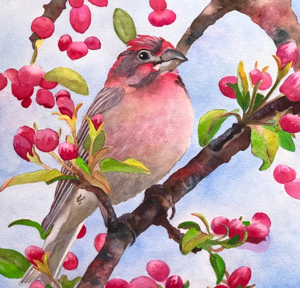 Blossom and Bird