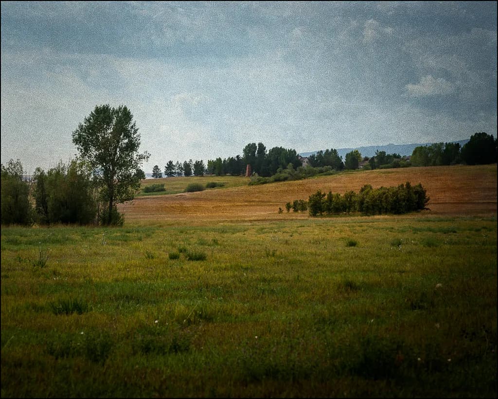 Whispers of the Wind: A Playful Dance of Fields and Sky