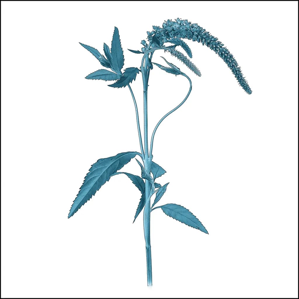 Botanical Blues: A Witty Take on Nature's Quirky Side