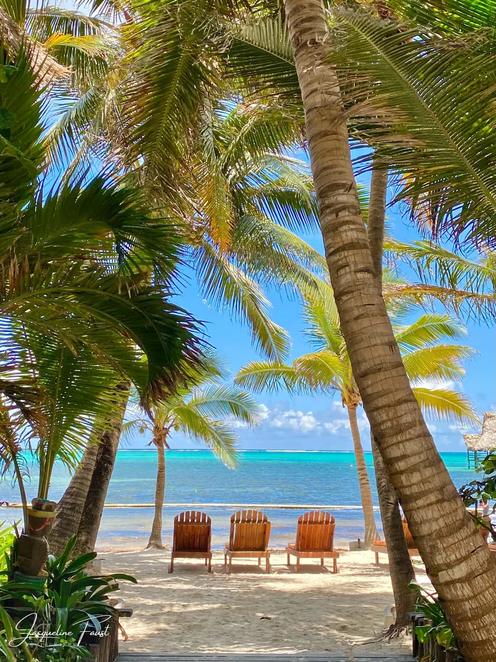 Tropical Serenity: A Tranquil Escape by the Shoreline