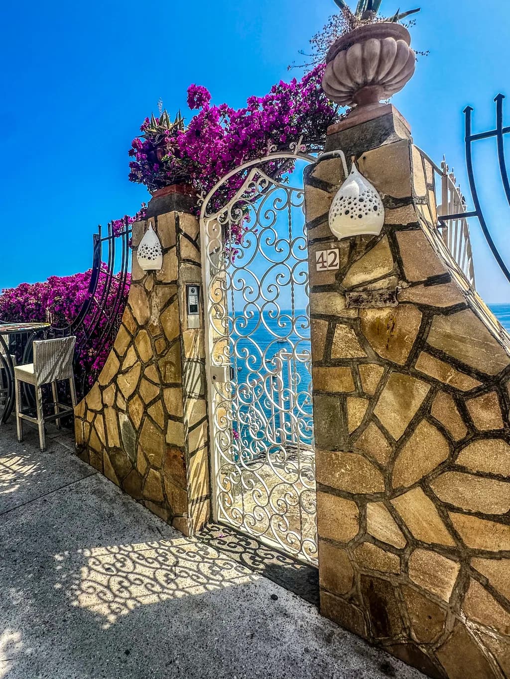 Whispers of Blue: A Floral Gateway to Serenity