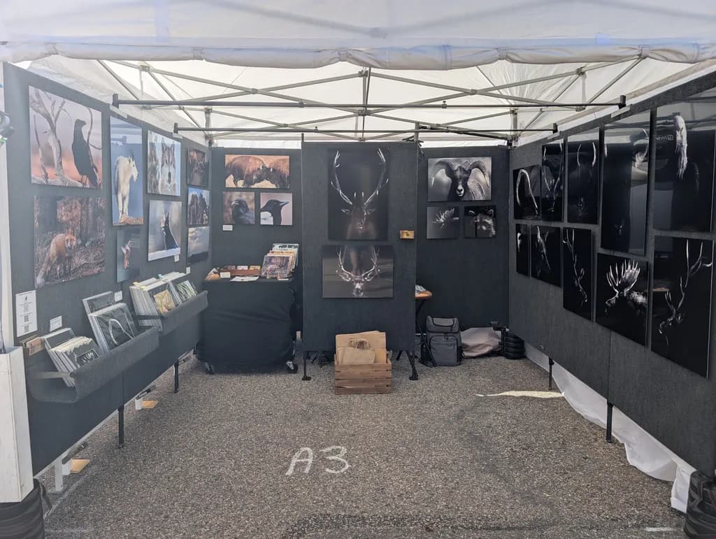 Mountain Wildlife Showcase