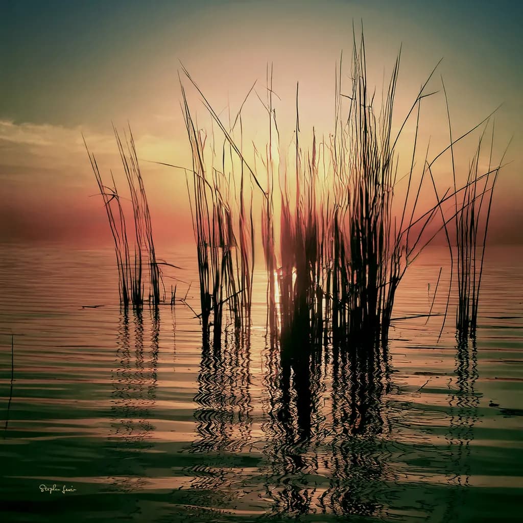 Sunset Reflections: Tall Grasses Silhouetted Against a Serene Water Surface