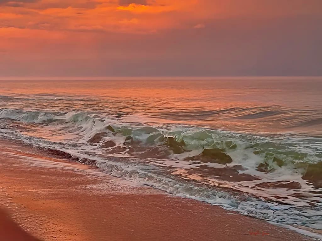 Crimson Dreams: A Coastal Escape