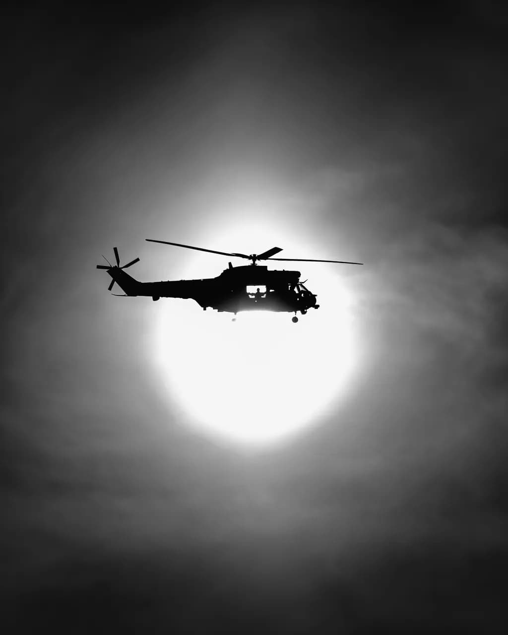 Silent Flight: A Monochrome Journey Through the Sky