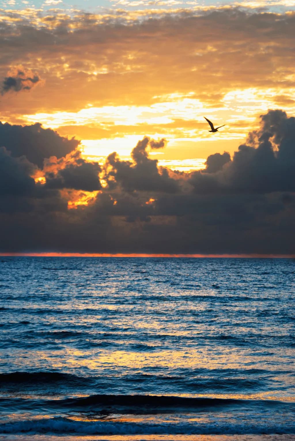 Gliding into the Golden Hour
