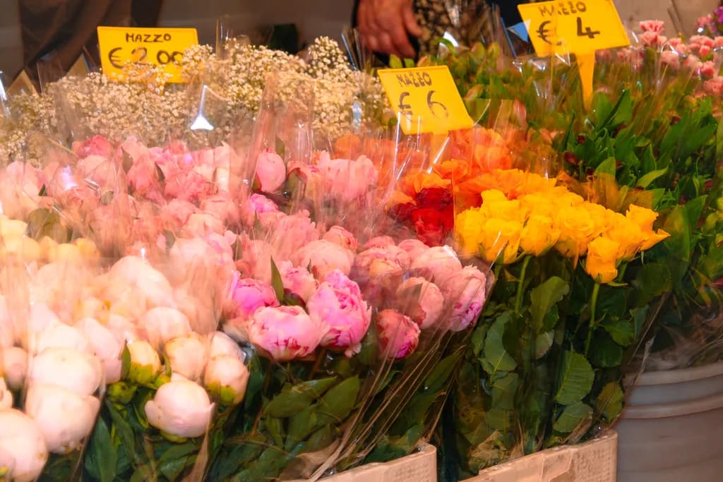 Italian Market Blooms