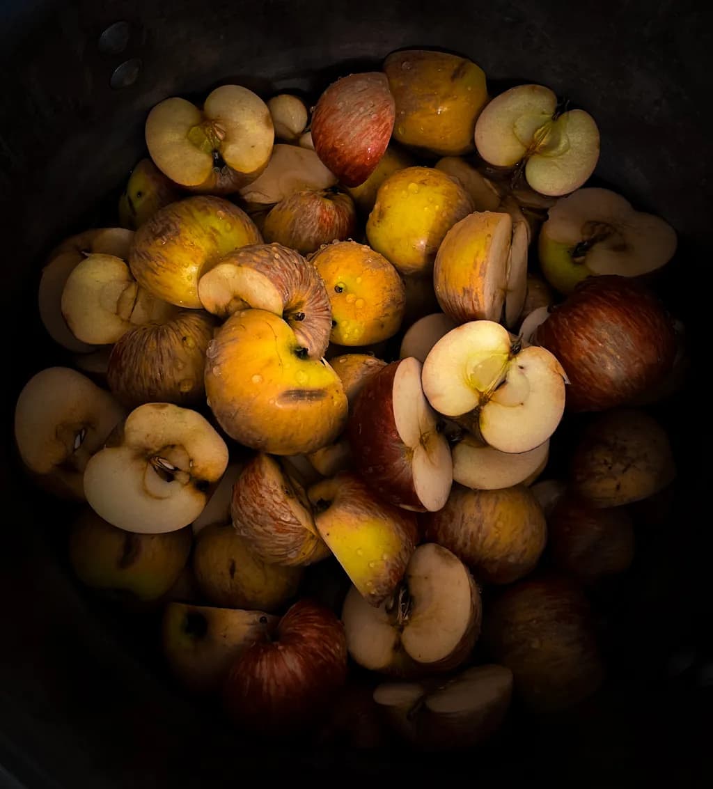 Harvested Apples