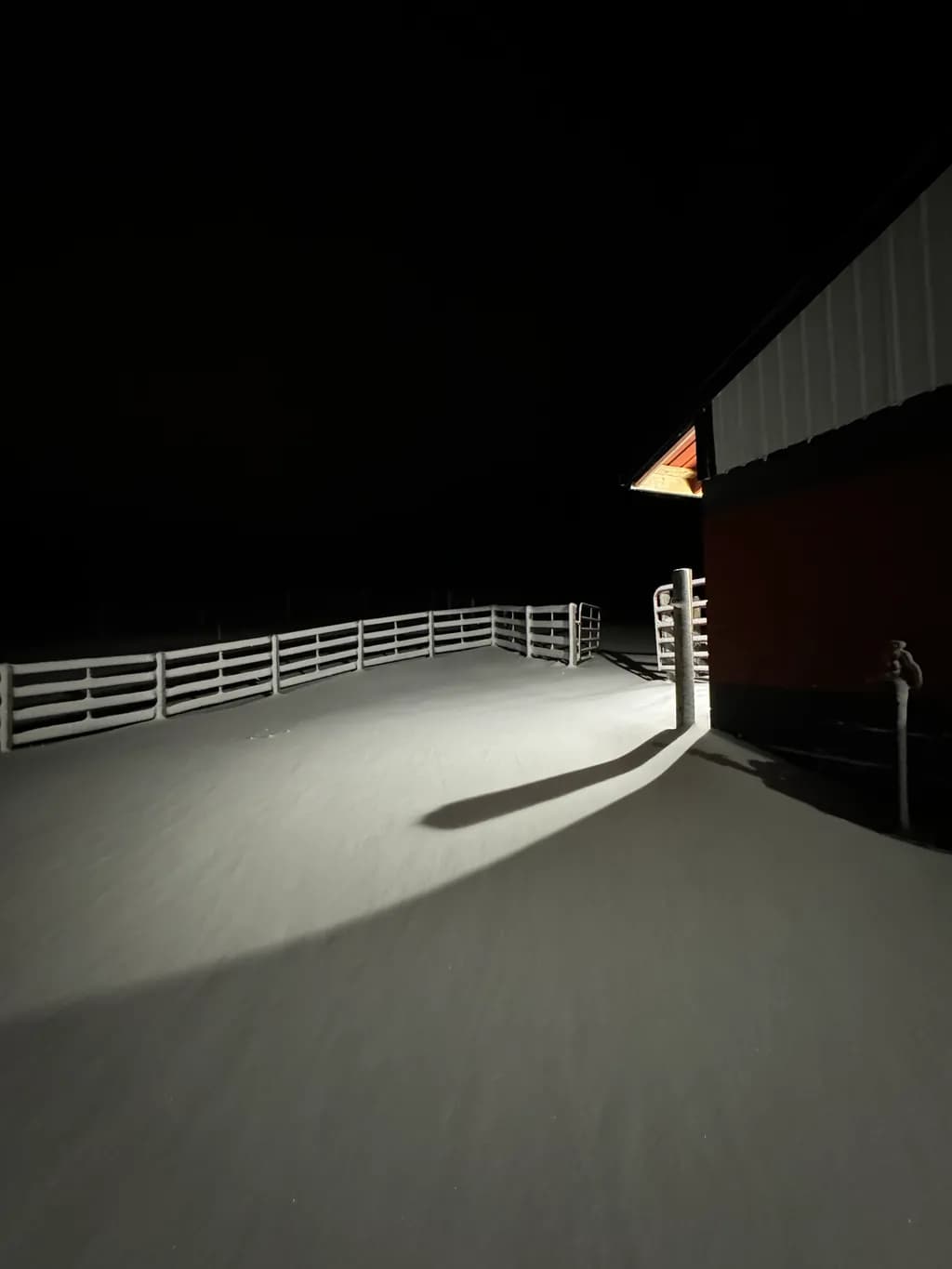 Silent Snowfall