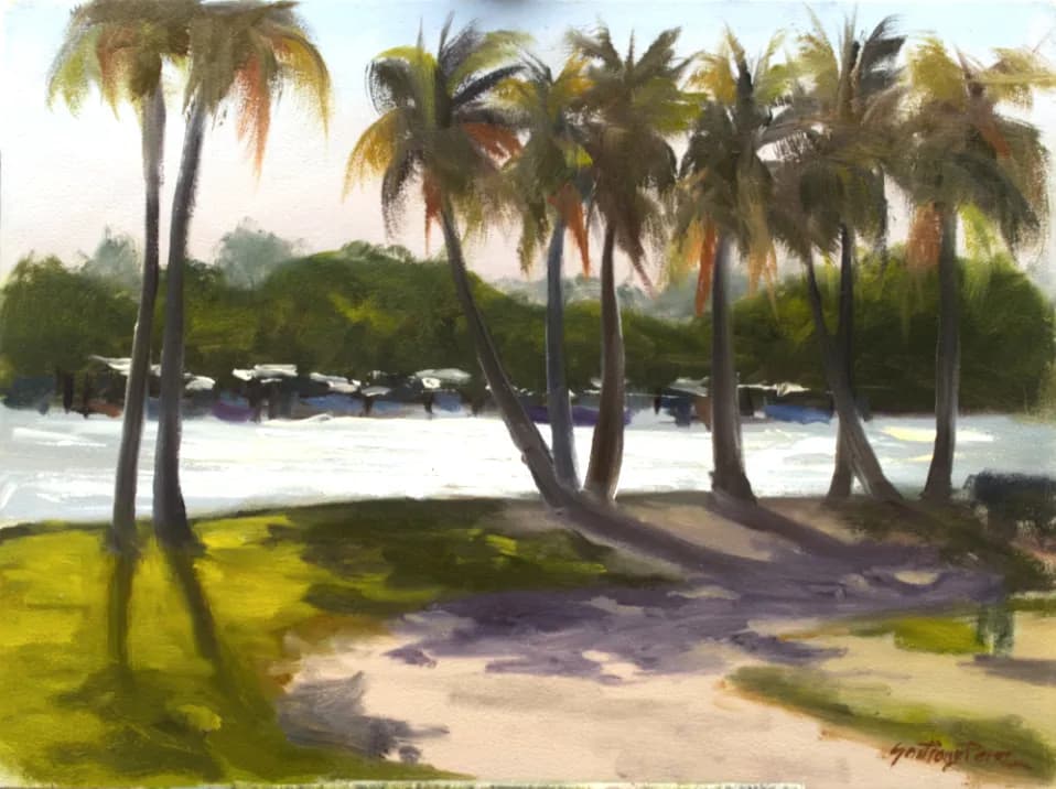 Matheson Palms