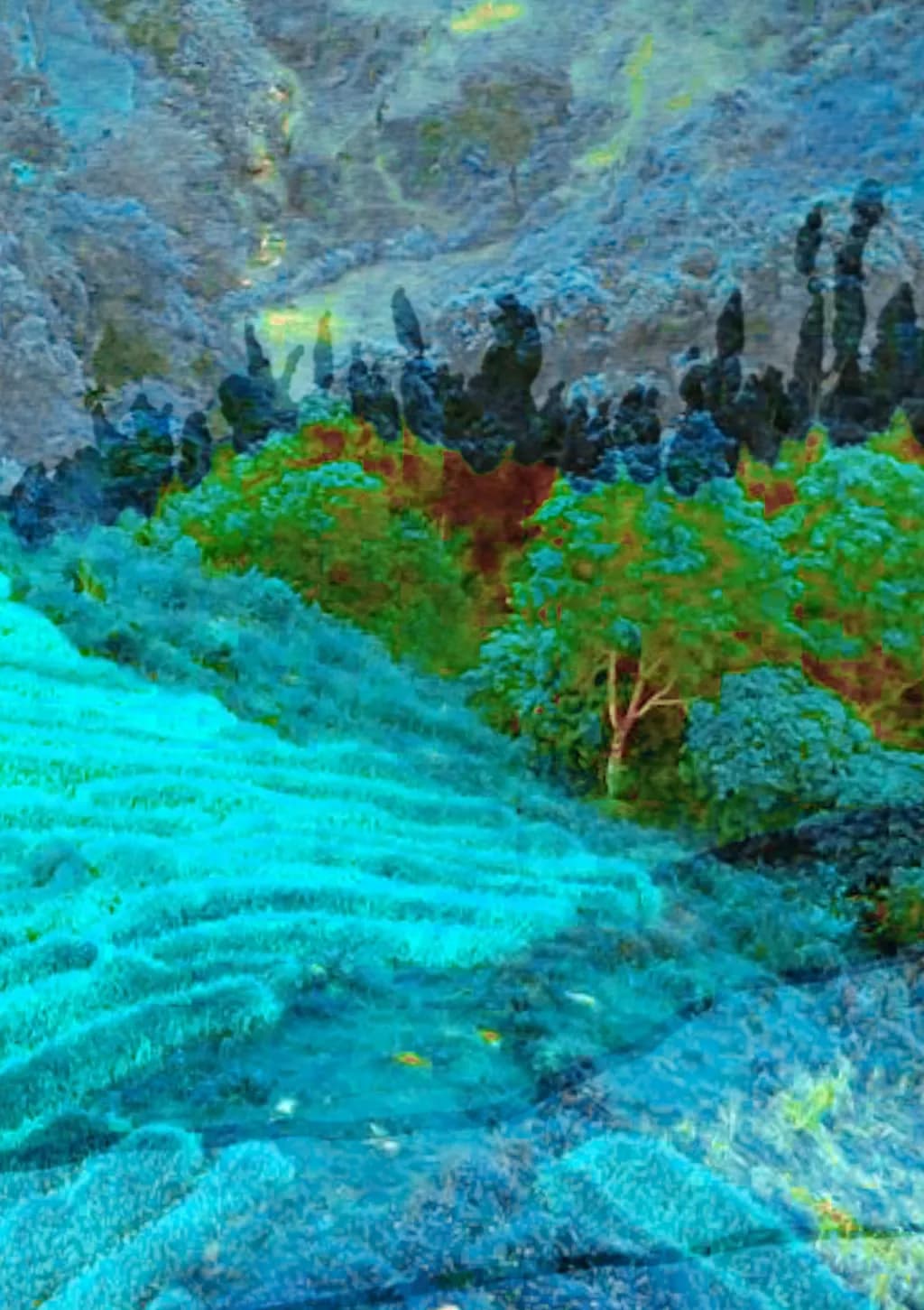 Whispers of Nostalgia: A Watercolor Journey Through Vibrant Landscapes